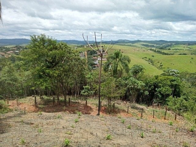 Foto do Terreno - Terreno à venda, 1000 m² por R$ 100.000,00 - Chacara Santa Branca - Santa Branca/SP | INDEPENDENCE NEGOCIOS IMOBILIARIOS LTDA