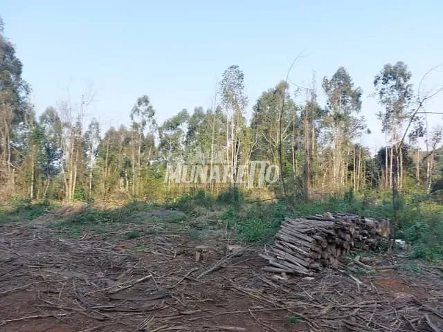 Terreno com 49381m², à venda, no bairro Interiror em Concórdia
