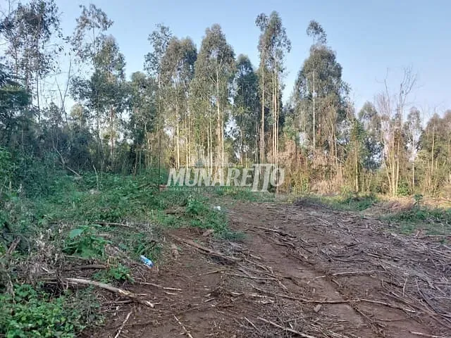 Terreno com 49381m², à venda, no bairro Interiror em Concórdia