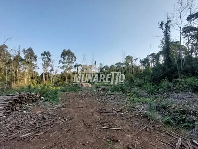 Terreno com 49381m², à venda, no bairro Interiror em Concórdia