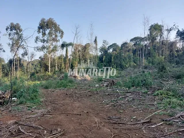 Terreno com 49381m², à venda, no bairro Interiror em Concórdia