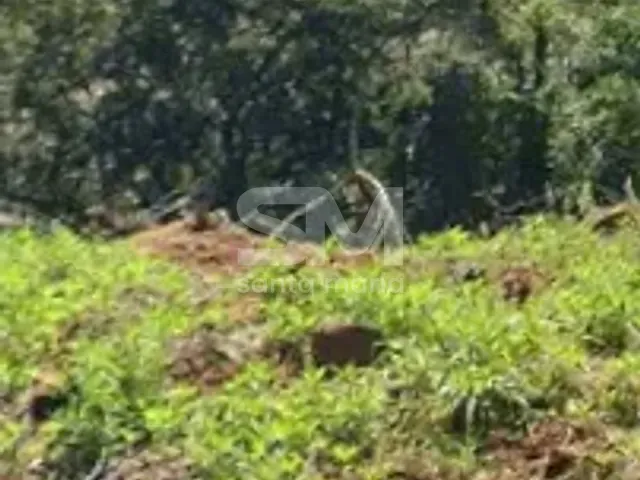 Terreno com 2000m², à venda, no bairro TREVO em Cordilheira Alta