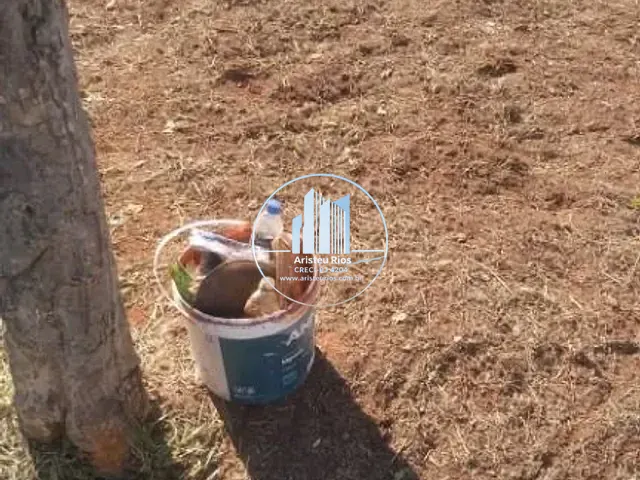 Terreno com 200m², à venda, no bairro Parque Real em Pouso Alegre