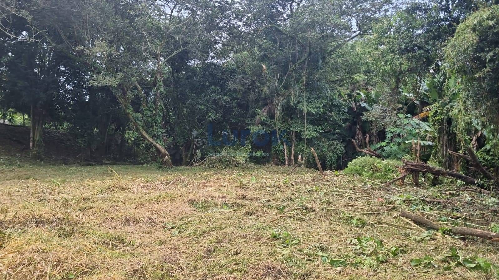 Terreno, 1254 m² - Foto 3