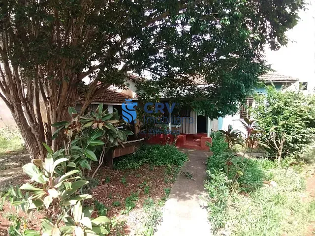 Terreno com 525m², à venda, no bairro Centro em Londrina