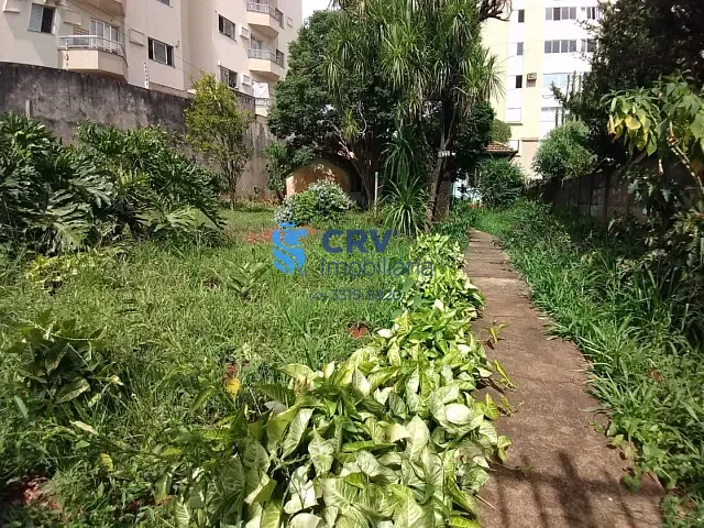 Terreno com 525m², à venda, no bairro Centro em Londrina