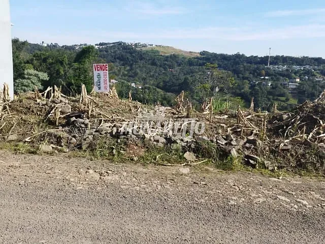 Terreno com 450m², à venda, no bairro Fragosos em Concórdia