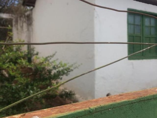 Foto do Terreno - Terreno à venda 378M², Centro, Uberaba - MG | ZUCATO IMOBILIARIA LTDA