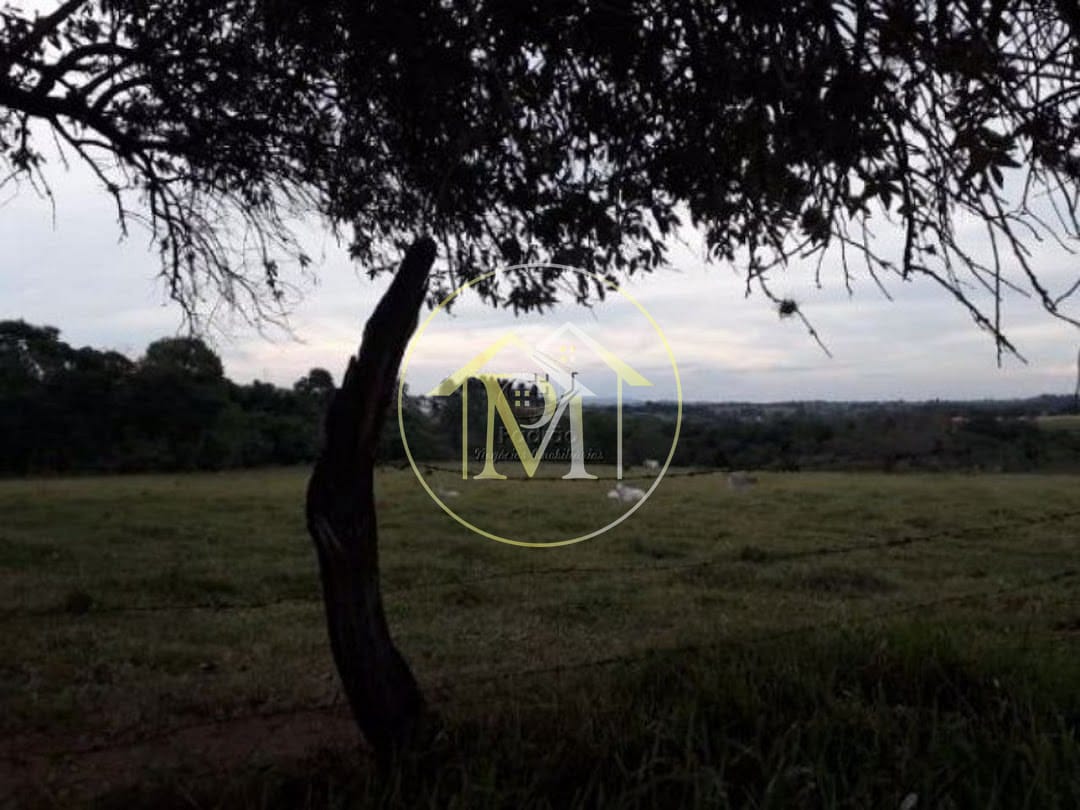 Terreno, 10 hectares - Foto 3