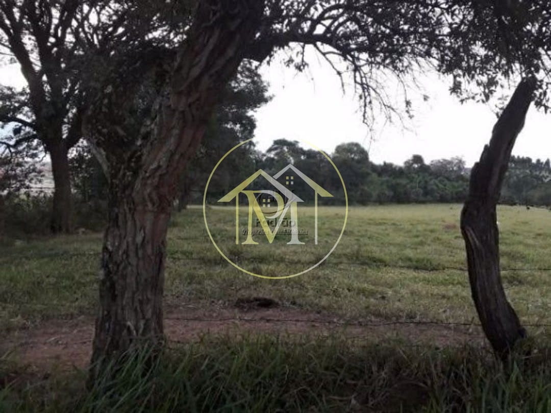 Terreno, 10 hectares - Foto 4