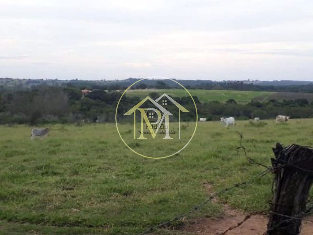 Terreno, 10 hectares - Foto 2