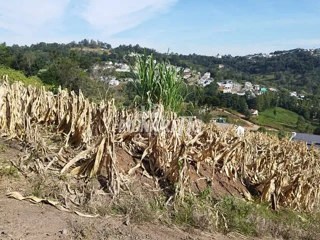 Terreno com 479m², à venda, no bairro Fragosos em Concórdia