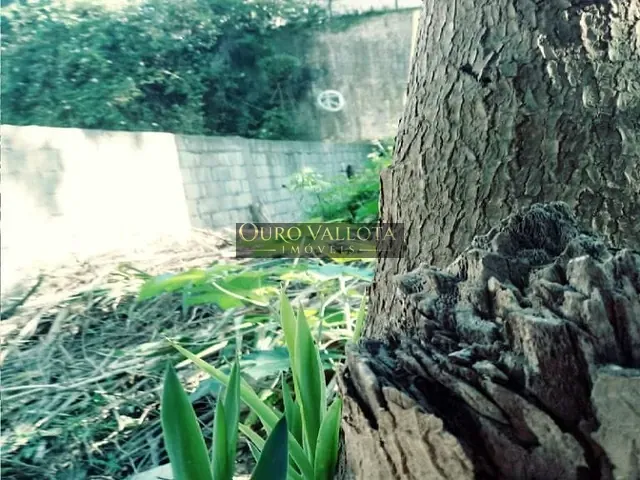 Terreno com 120m², à venda, no bairro Jardim Miriam em São Paulo