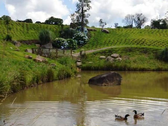 Terreno com 717m², à venda, no bairro Pedancino em Caxias do Sul