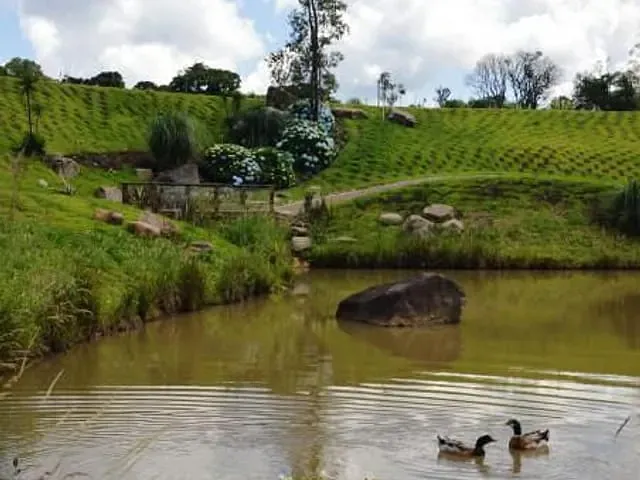 Terreno com 717m², à venda, no bairro Pedancino em Caxias do Sul