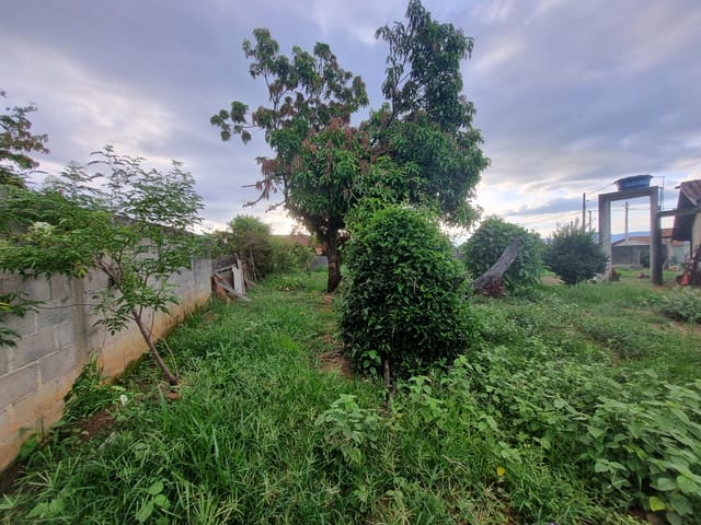 Terreno com 1000m², à venda, no bairro Nossa Senhora do Perpétuo Socorro em Pindamonhangaba