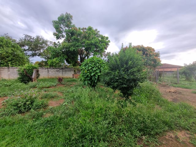 Terreno com 1000m², à venda, no bairro Nossa Senhora do Perpétuo Socorro em Pindamonhangaba