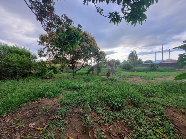 Terreno com 1000m², à venda, no bairro Nossa Senhora do Perpétuo Socorro em Pindamonhangaba