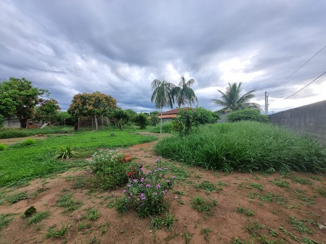 Terreno com 1000m², à venda, no bairro Nossa Senhora do Perpétuo Socorro em Pindamonhangaba