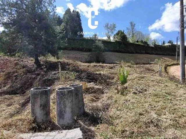 Terreno com 1400m², à venda, no bairro Jardim Embaixatriz em Campos do Jordão