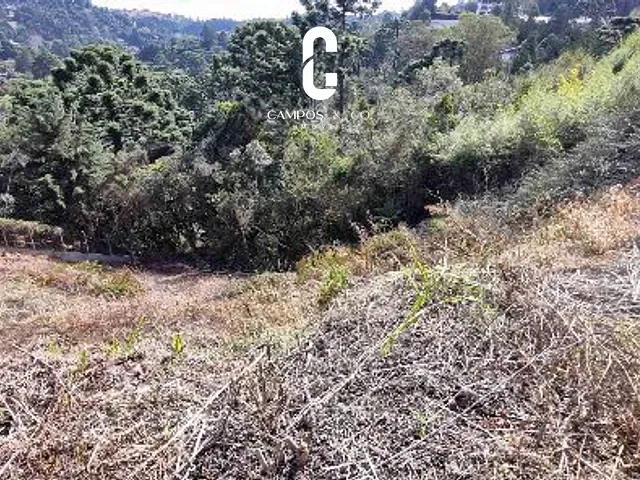Terreno com 1400m², à venda, no bairro Jardim Embaixatriz em Campos do Jordão