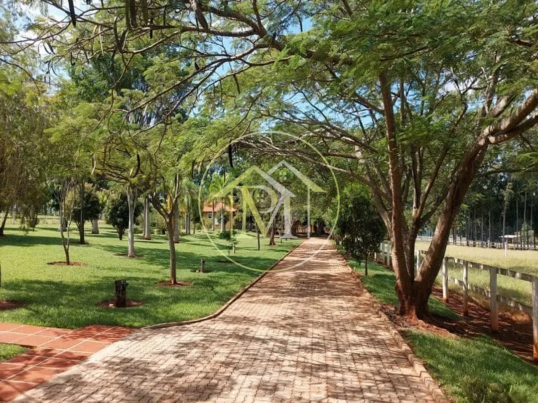 Terreno, 290 hectares - Foto 6