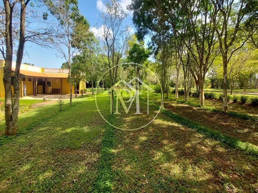 Terreno, 290 hectares - Foto 10