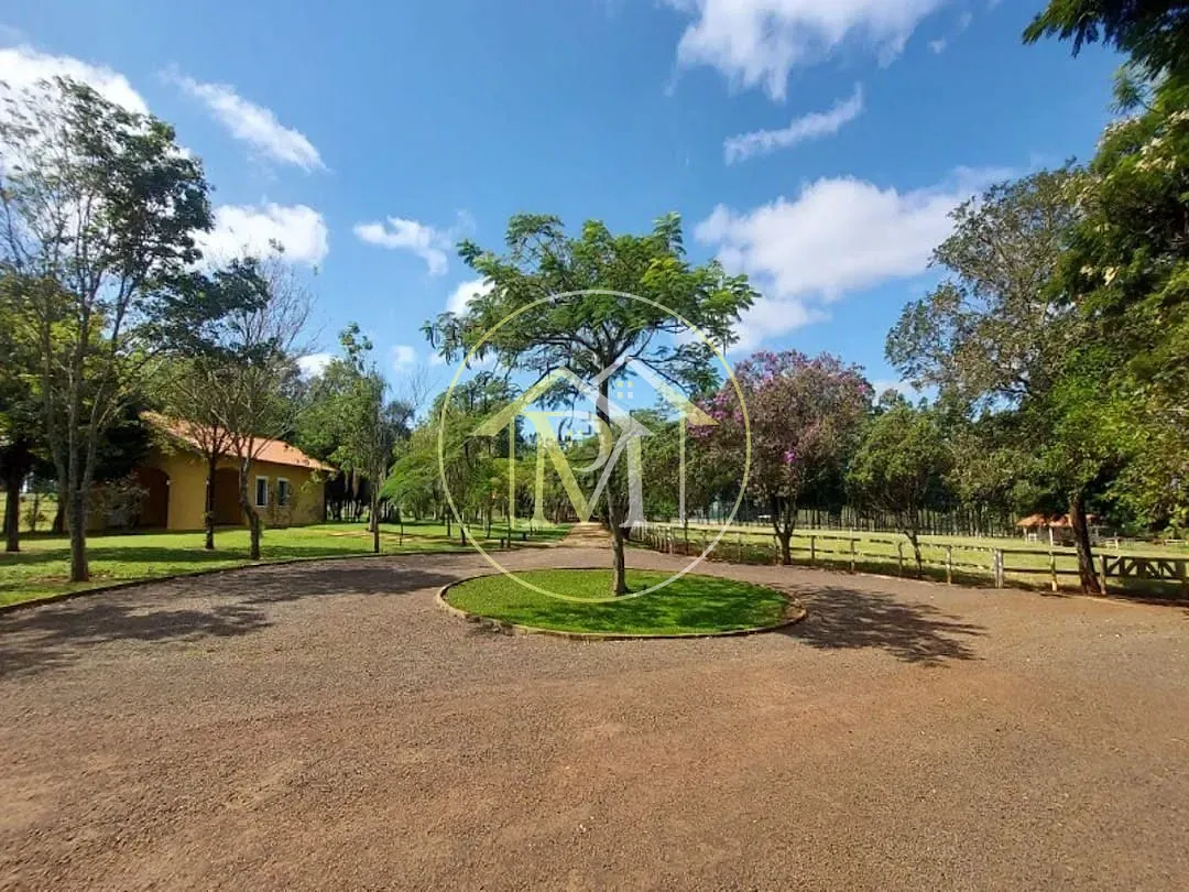 Terreno, 290 hectares - Foto 3