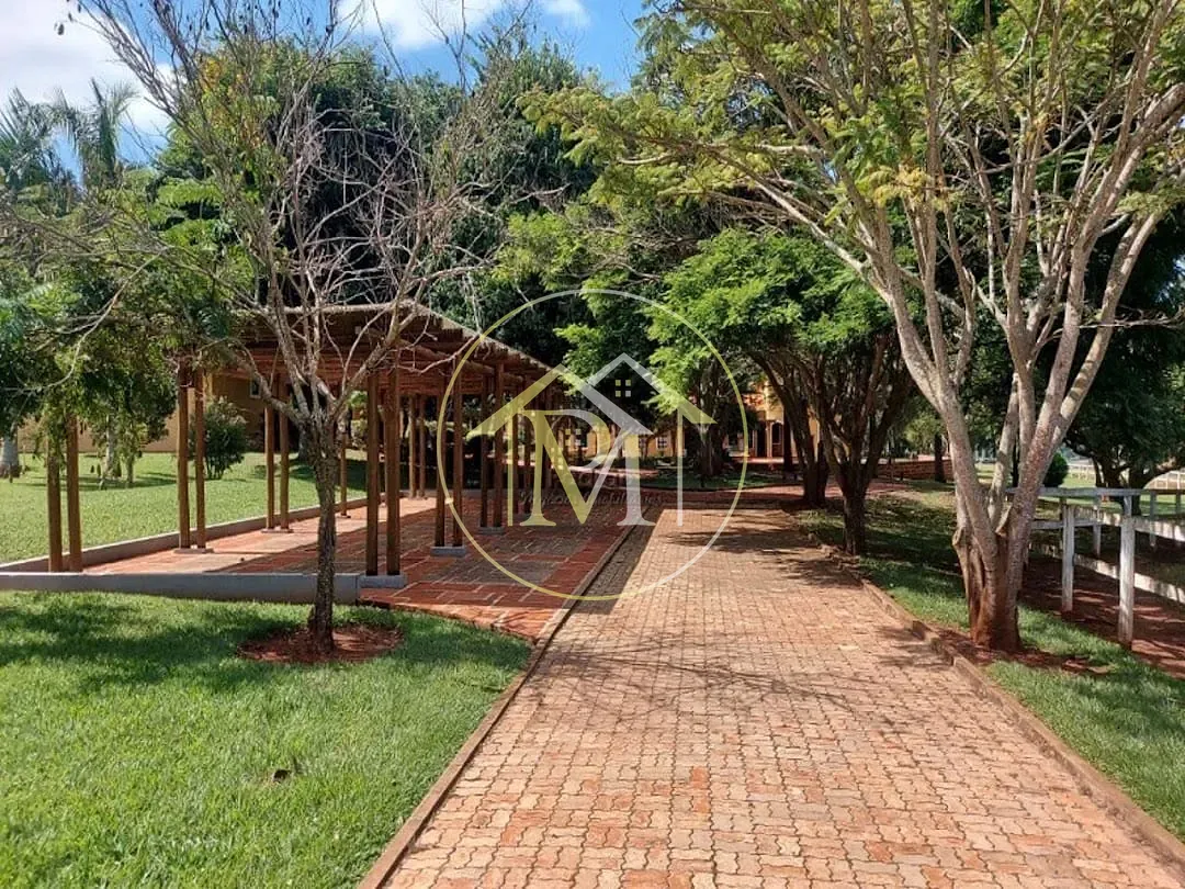 Terreno, 290 hectares - Foto 7