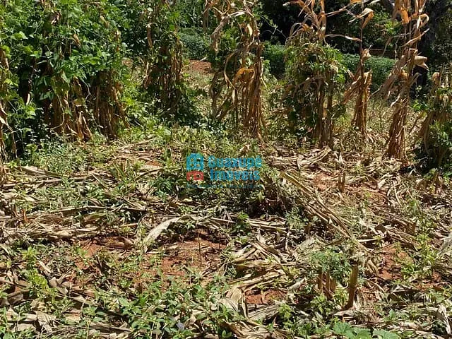 Terreno com 450m², à venda, no bairro Recreio dos Bandeirantes em Guaxupé