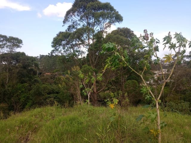 Terreno com 798m², à venda, no bairro Altos de Caucaia (Caucaia do Alto) em Cotia