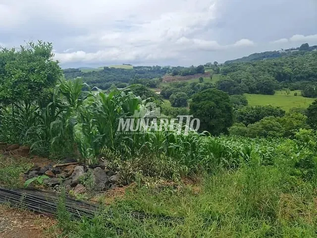 Terreno com 450m², à venda, no bairro Linha São Paulo em São Paulo