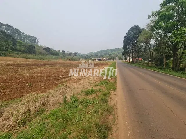 Terreno com 3181m², à venda, no bairro Linha Suruvi em Concórdia