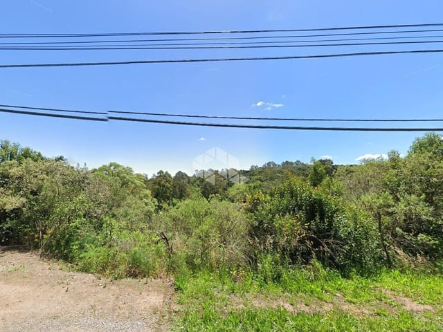 Terreno com 6900m², à venda, no bairro Forqueta em Caxias do Sul