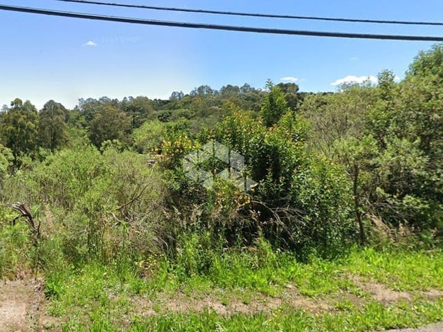 Terreno com 6900m², à venda, no bairro Forqueta em Caxias do Sul