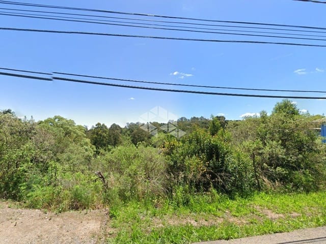 Terreno com 6900m², à venda, no bairro Forqueta em Caxias do Sul