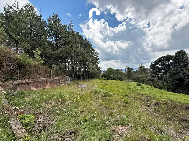 Terreno com 1157m², à venda, no bairro Manancial em Campos do Jordão