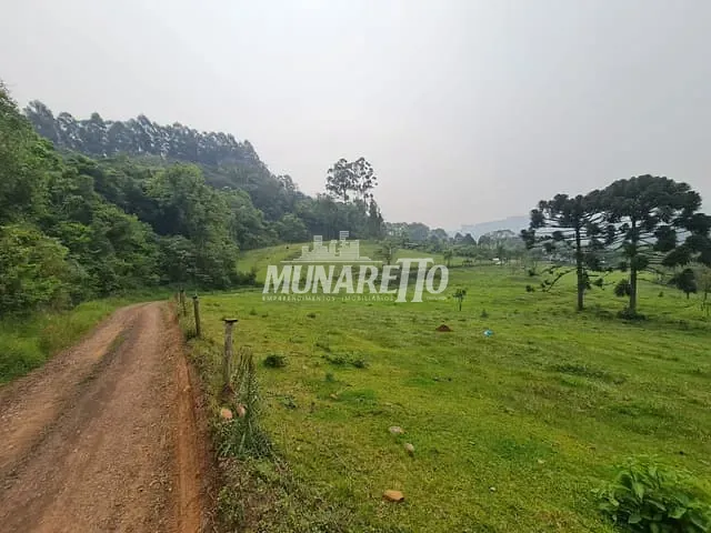 Terreno com 10000m², à venda, no bairro linha Salete em Concórdia