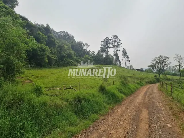 Terreno com 10000m², à venda, no bairro linha Salete em Concórdia