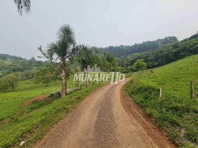 Terreno com 10000m², à venda, no bairro linha Salete em Concórdia