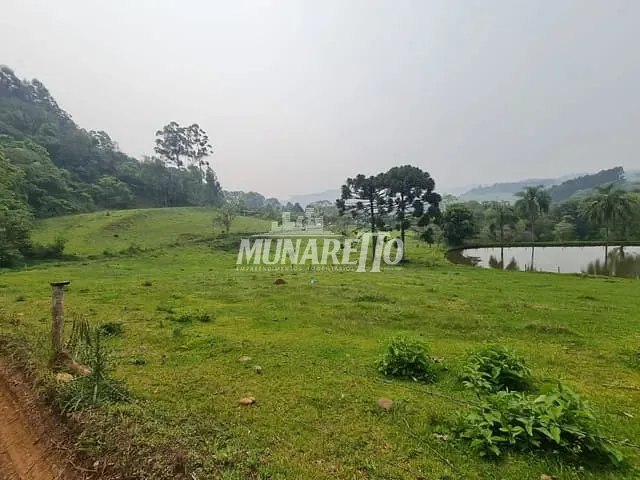 Terreno com 10000m², à venda, no bairro linha Salete em Concórdia