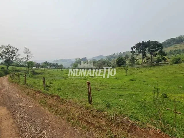 Terreno com 10000m², à venda, no bairro linha Salete em Concórdia