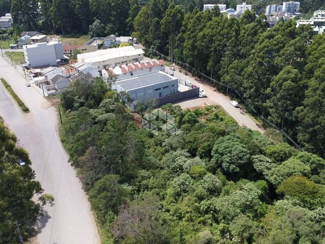 Terreno com 46616m², à venda, no bairro Forqueta em Caxias do Sul