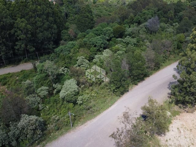 Terreno com 46616m², à venda, no bairro Forqueta em Caxias do Sul