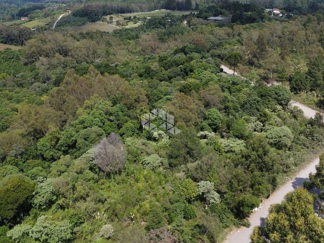 Terreno com 46616m², à venda, no bairro Forqueta em Caxias do Sul