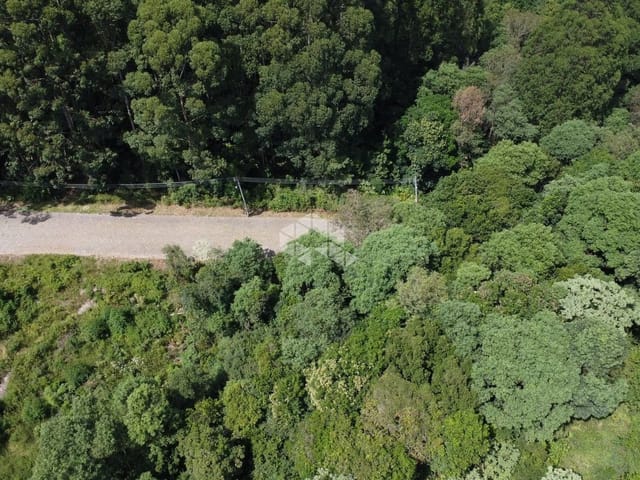 Terreno com 46616m², à venda, no bairro Forqueta em Caxias do Sul
