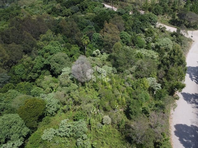 Terreno com 46616m², à venda, no bairro Forqueta em Caxias do Sul