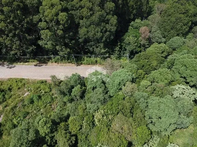 Terreno com 46616m², à venda, no bairro Forqueta em Caxias do Sul