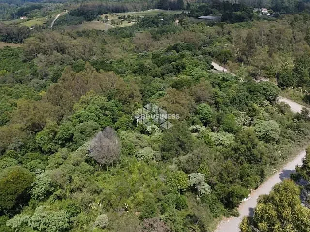 Terreno com 46616m², à venda, no bairro Forqueta em Caxias do Sul