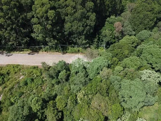 Terreno com 46616m², à venda, no bairro Forqueta em Caxias do Sul